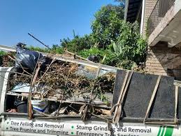 Best Same-Day Junk Removal Services  in Oneida, TN