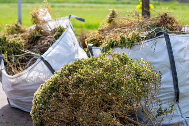 Best Yard Waste Removal  in Oneida, TN