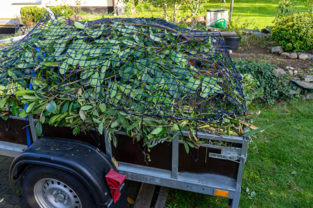 Best Shed Removal  in Oneida, TN